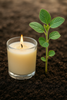 Why-Use-Soy-Wax-A-Sustainable-Guide-to-Candle-Wax-Options Luminate 365 Candles