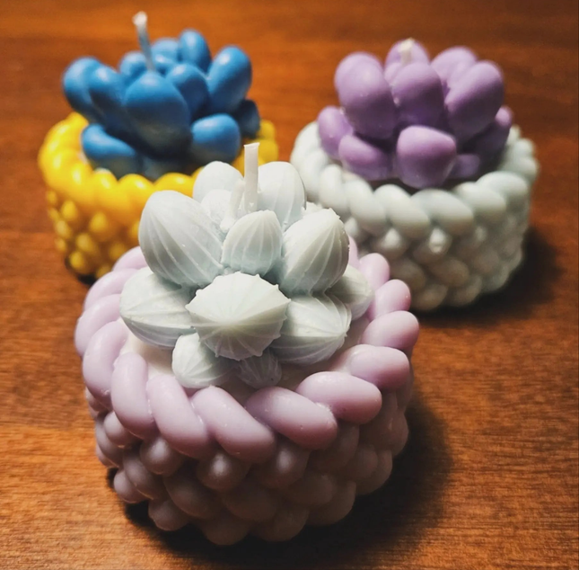 Inspire The Day Succulent Candle – Handmade Candle with Daily Affirmations Luminate 365 Candles