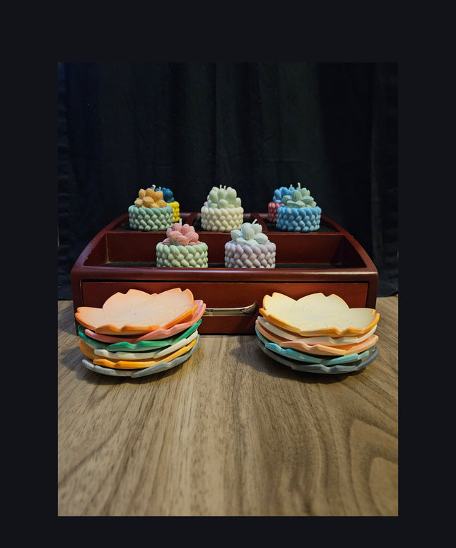 Inspire the Day – Concrete Base Succulent Candle with Uplifting Affirmations - Luminate 365 Candles