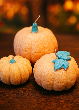The Harvest Light Pumpkin Set – Seasonal Home Candles Luminate 365 Candles
