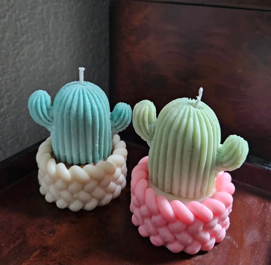 Cacto Plant Candle – Cute Cactus-Shaped Decorative Candle in Bubble Base