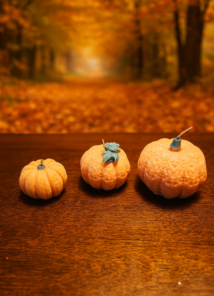 The Harvest Light Pumpkin Set – Seasonal Home Candles Luminate 365 Candles