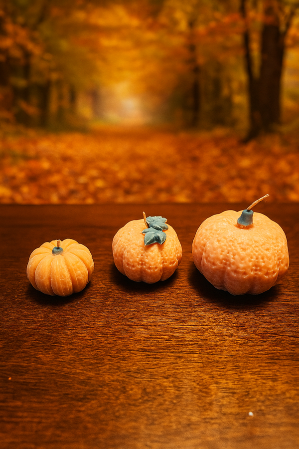 The Harvest Light Pumpkin Set – Seasonal Home Candles Luminate 365 Candles