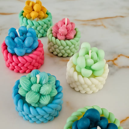 Inspire The Day Succulent Candle – Handmade Candle with Daily Affirmations